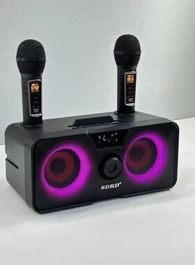 SD317蓝牙K歌一体机麦克风手B机K歌家用蓝牙音箱双喇叭双麦克风