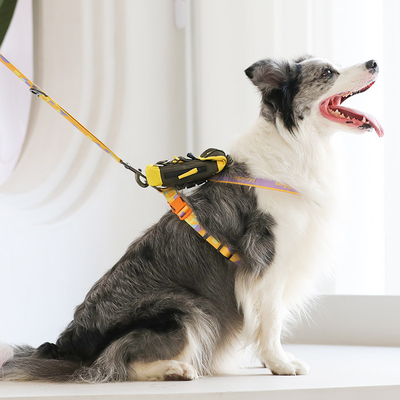 速发狗狗牵引绳柴犬柯基宠物网红遛狗绳子外出防挣脱爆冲工字型胸