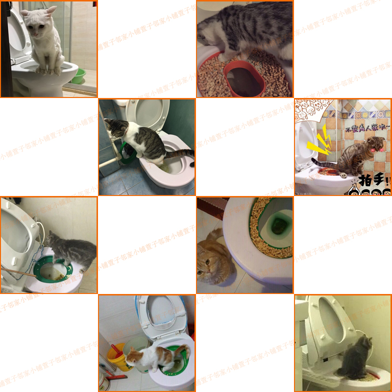 猫厕所增加过渡盘猫咪如厕训练器代替猫砂盆猫咪入厕训.练器猫马