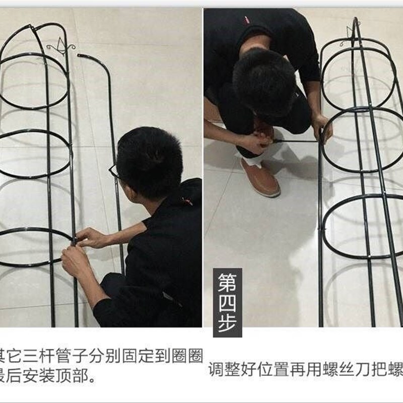 爬藤植物固定架子铁环花支架园艺支架藤本月季蔷薇专用花架