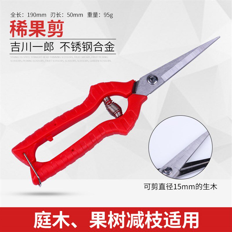 不锈钢加长带齿摘采稀疏果花藤椒葡萄柑橘插修花艺枝枸杞嫩芽剪刀