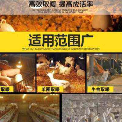 狗狗节能灯取暖灯设备猫小t鸡育雏保温灯鱼缸控温眼自动猪用加热