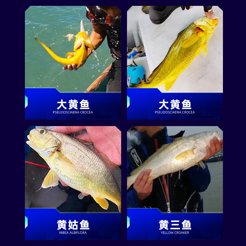 大黄鱼夜光双钩萤光钓组舟山渔山船串钩船钓钩海钓真鲷黄姑鱼黄组