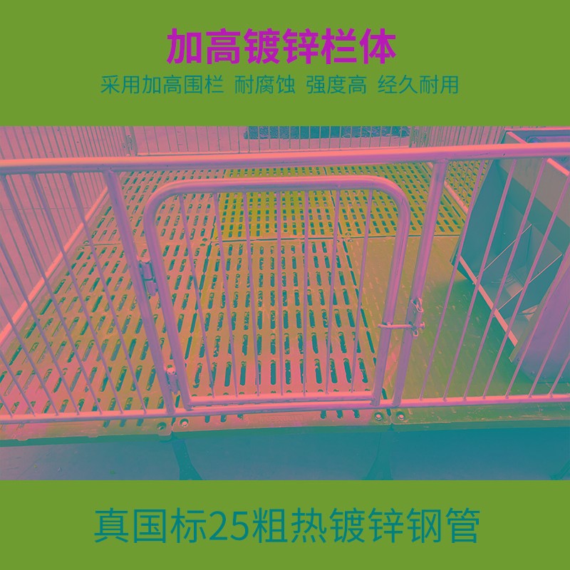 热销保育床复合漏粪板仔猪保育栏保育猪床猪圈围栏可调节高度养殖