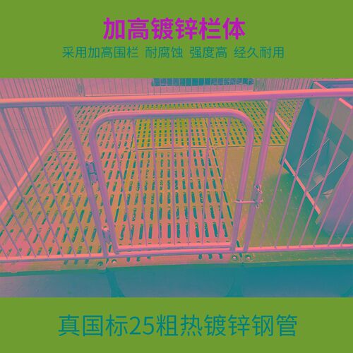 热销保育床复合漏粪板仔猪保育栏保育猪床猪圈围栏可调节高度养殖