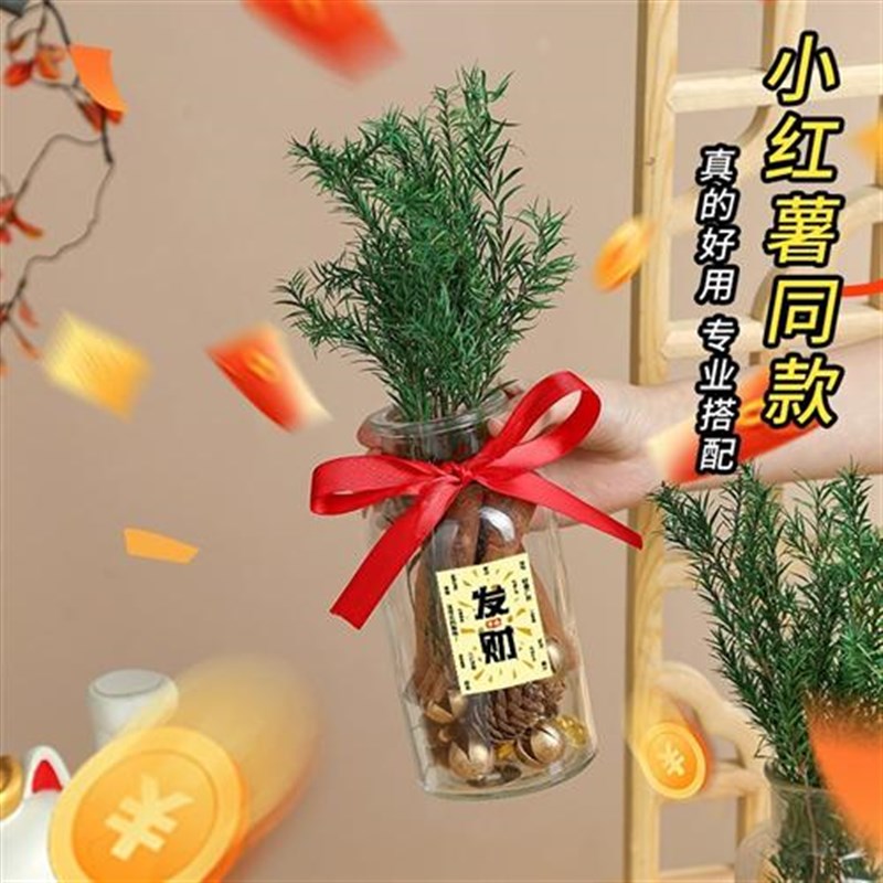 肉桂生财瓶2025新年装饰客厅玄关招财摆件玻璃瓶花瓶蛇年春节氛围