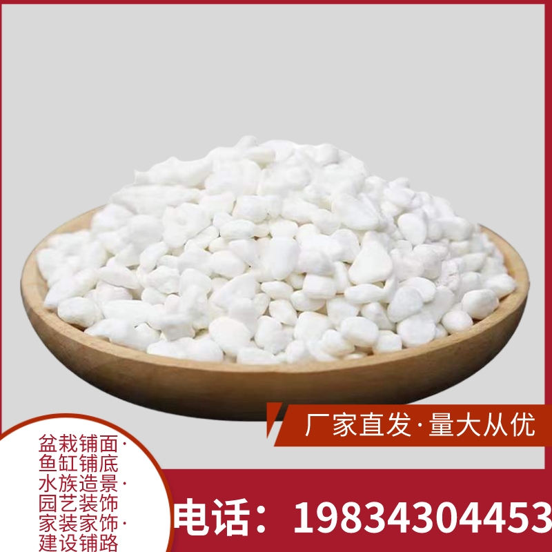 庭院白色石头多肉盆栽铺面小白石子鱼缸造景铺路装饰雨花石山西