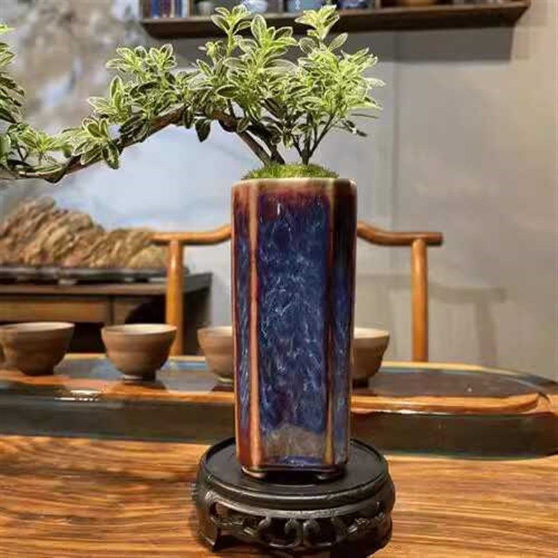 金边六月雪室内办公桌绿植桌面造型微小盆景盆栽开花植物,鲜花速递/花卉仿真/绿植园艺,造型盆景,淘宝优惠券,粉丝福利购,淘宝优惠卷