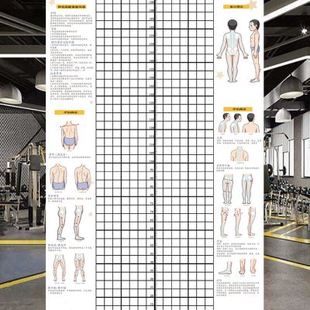 新体态调整d评估表健身房体测墙贴网格纸私教姿势体位背景墙体姿