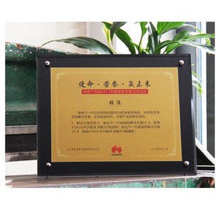 水晶亚克力封冻金属工艺奖牌定制定做优质供应商