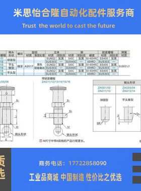 分度销 细牙 平头锥型 复位型 ZAG13 ZAG14-M8-M8A-M10-M10A-M12