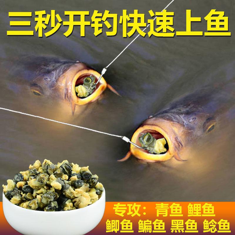 新品螺肉a鱼饵野钓鲫鱼青鱼鲤鱼鲶鱼黑鱼饵料黑坑湖库螺丝肉颗粒