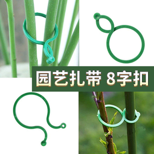 植物固定夹园艺8八字扣圈蝴蝶扣大八字植物捆绑扎带藤曼生长固定