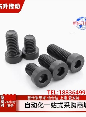 CBSSTH/CBSST/CBSH/CBS/CBSST3/4/5/6/8-4/5/6/8/10/12内六角螺栓