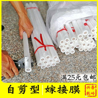 果树嫁接膜自剪型嫁接专用膜打包防尘膜塑料膜芽接打结通用薄膜