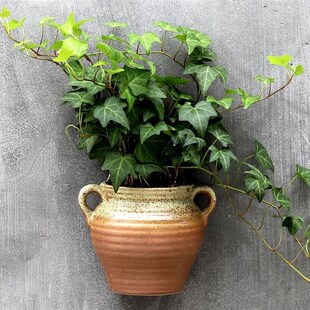 墙壁装饰壁挂花器挂壁挂墙花盆可挂在墙上的半壁花瓶垂吊盆陶罐盆