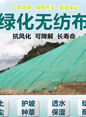 绿化无纺布绿色透气膜园林工地防尘盖土布草坪护坡边坡植草无纺布