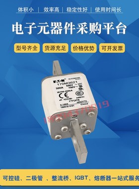 熔断器保险丝170M3671/3672/3673/3675/3678/3688/3689直供  现货