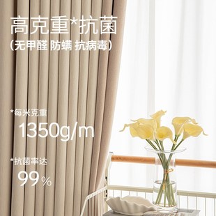 加厚雪尼尔窗帘布绍兴加工成H品高档客厅卧室轻奢遮光窗帘 新款