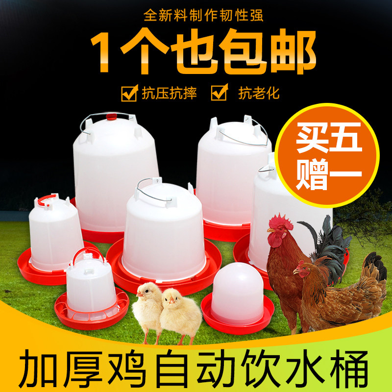 速发鸡喝水桶水槽饮水壶小鸡饮水器 自动饮水壶 养鸡设备专用养鸡