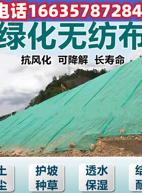 绿化无纺布绿色透气膜园林工地防尘盖土布草坪护坡边坡植草无纺布