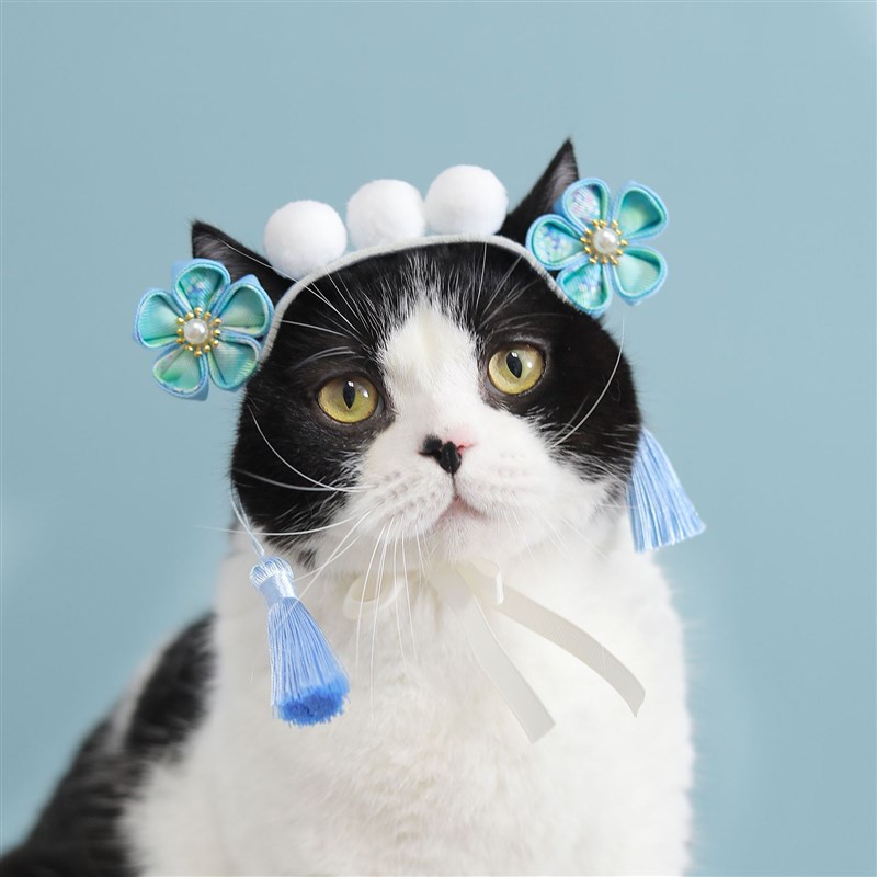 还珠格格贵妃猫咪头饰宠物可爱狗狗生日帽京剧头套配饰宫廷变装