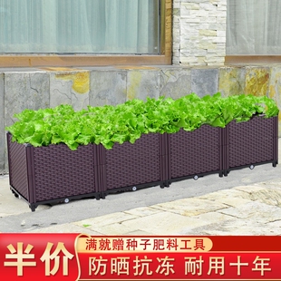 养花花架箱家庭广场菜盆塑料新款多层挂式天台顶楼室外Y种菜专用