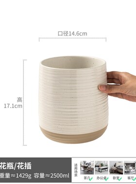 婷豫简约现代白色条纹花瓶v陶瓷摆件客厅花插家用花瓶高颜值花插