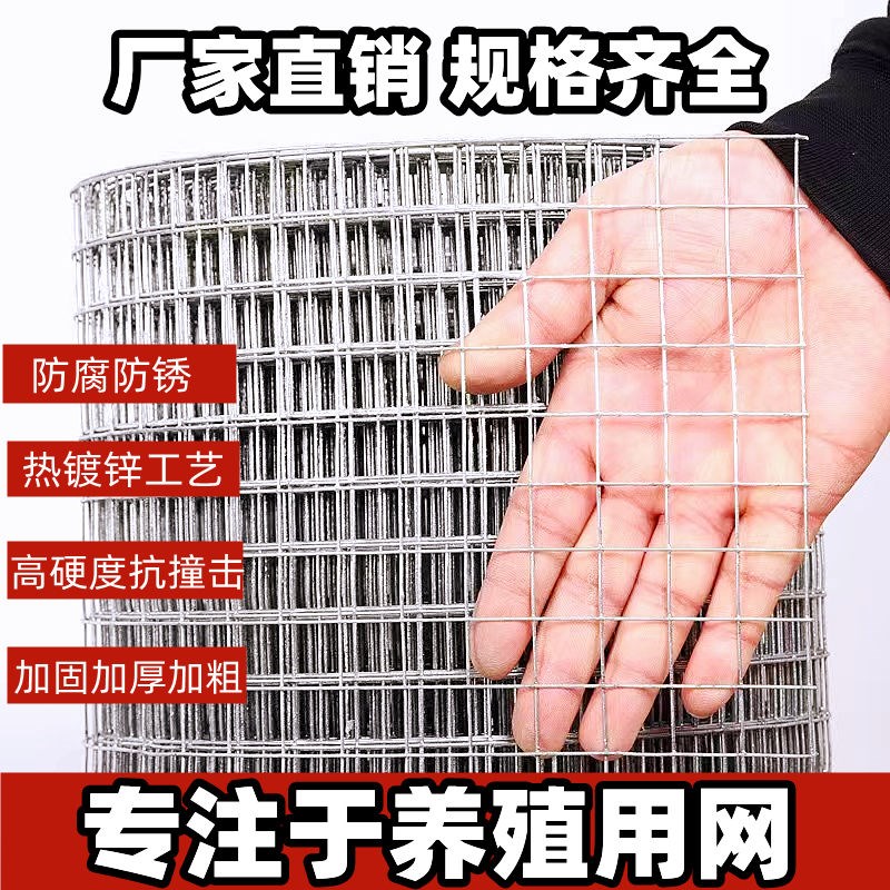 热镀锌铁丝网围栏养殖护栏网养鸡防鼠钢丝网加粗电焊网抹灰网格