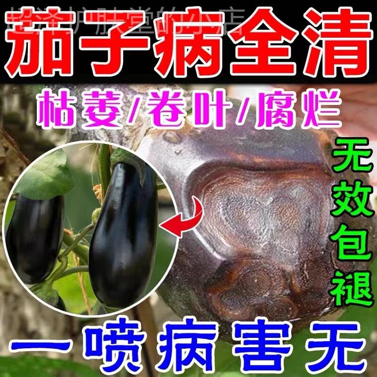 推荐【茄子专用】农药茄子黄萎病拉直拉长杀菌剂病毒病卷叶黄叶霉