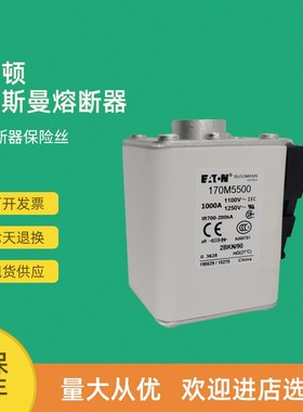 全新快速熔断器保险170M5561 170M5562 170M5563 170M5564
