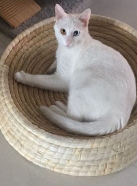 鸡窝下蛋窝防雨室外过冬鸡窝鸡窝雨棚鸡窝搭建户外防雨防侧翻鸡窝