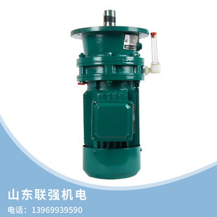 摆针式 行星摆线针轮减速机小型立式 减速器国M标铜芯电机带电机卧
