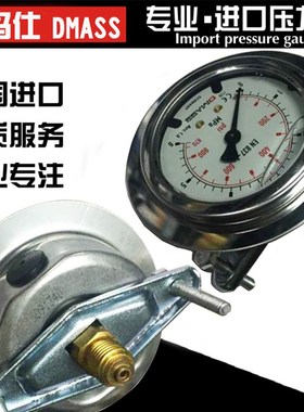 德国进口德玛仕轴向带边压力表 DMASS测压表挖掘机耐震液压测试仪