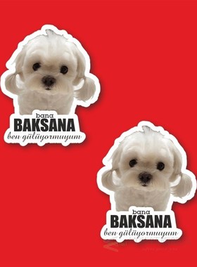 Ben Gülüyormuyum Laptop and Phone Sticker-Decal max.5cm 2'