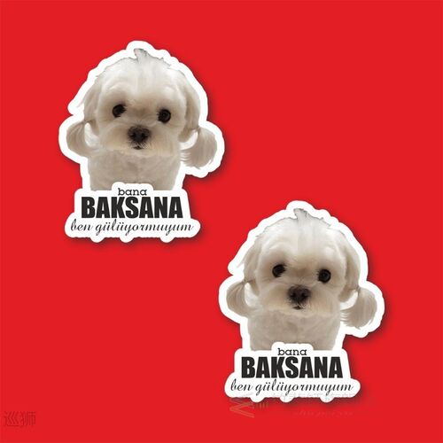 Ben Gülüyormuyum Laptop and Phone Sticker-Decal max.5cm 2'