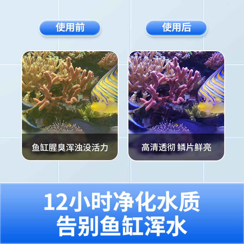 比多克鱼缸过滤材料硝化细菌屋陶瓷环鱼池净化水质专用高密度滤材