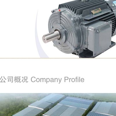 议价贝得电机1TL0001-2AA43-3AA4 30KW2P极三相交流异步感应马达