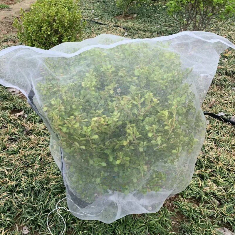 杨梅网罩莲雾蓝莓网嘉宝果树防虫网防鸟用网樱桃网蚊帐蔬菜加厚40