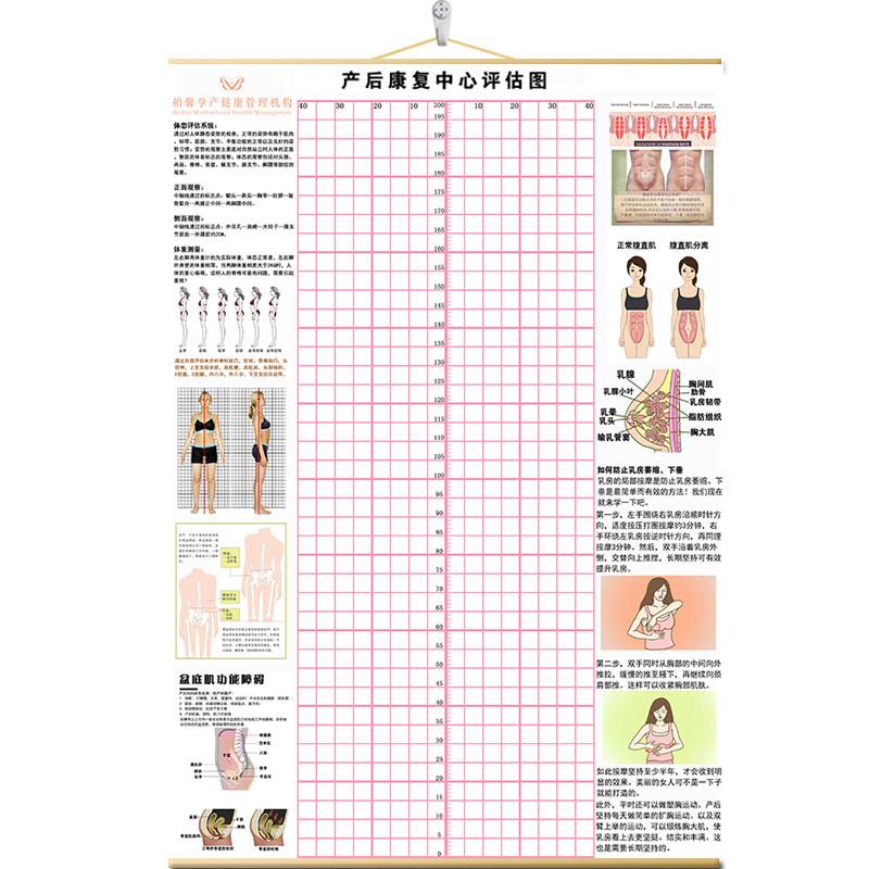 现货速发产後体态评估图盆底肌修复图康复形体矫正体态评估表体形