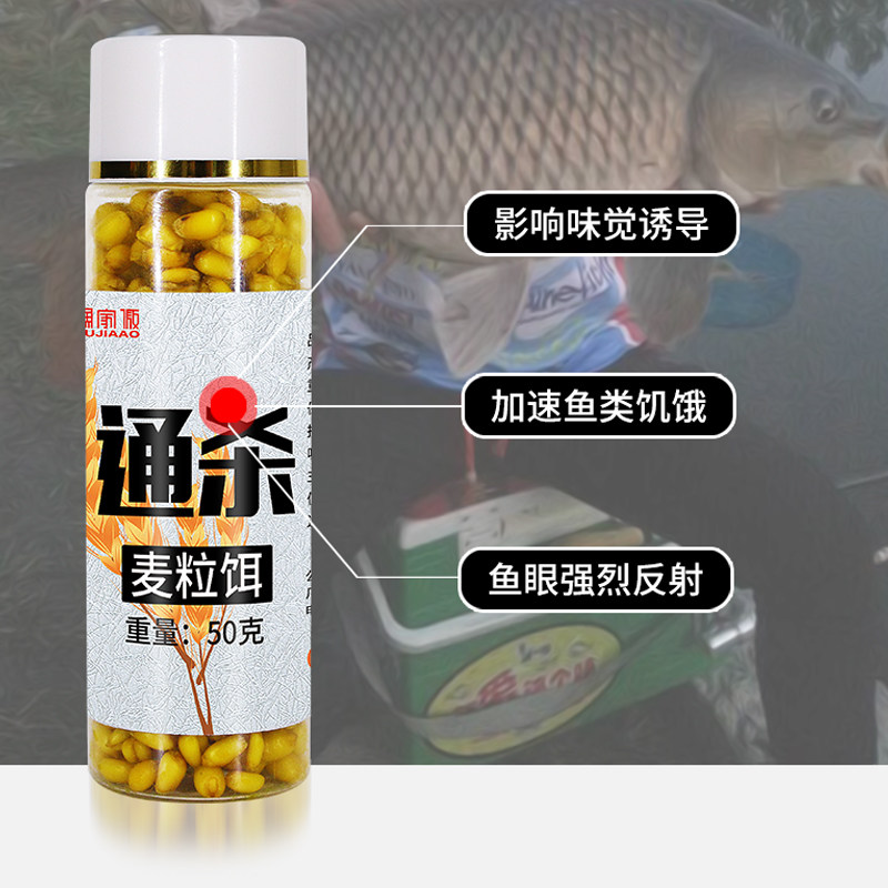 现货小麦粒鱼饵料野钓q黑坑谷麦鲫鱼鲤草鱼老坛麦子挂钩钓饵鱼饵
