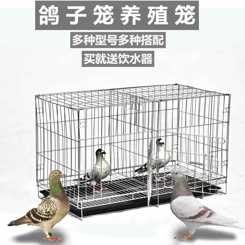 速发捕鸽神器抓鸽子笼全自动加粗鸽子配对笼S养殖笼子金属折叠