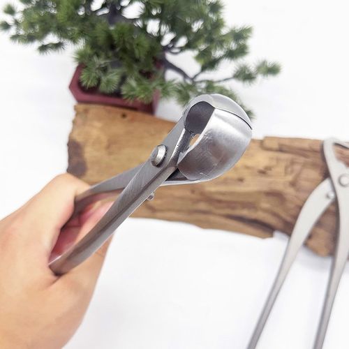 盆景修剪造型工具球形剪不锈钢球节叶芽剪刀钳子修枝剪树瘤球节剪