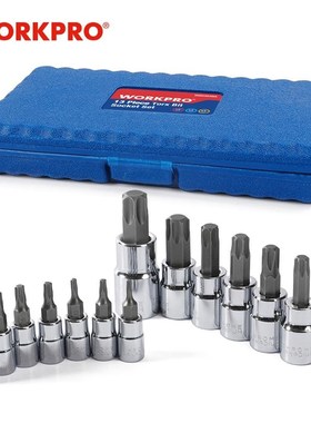 13PC Torx Bits Socket Set 1/4