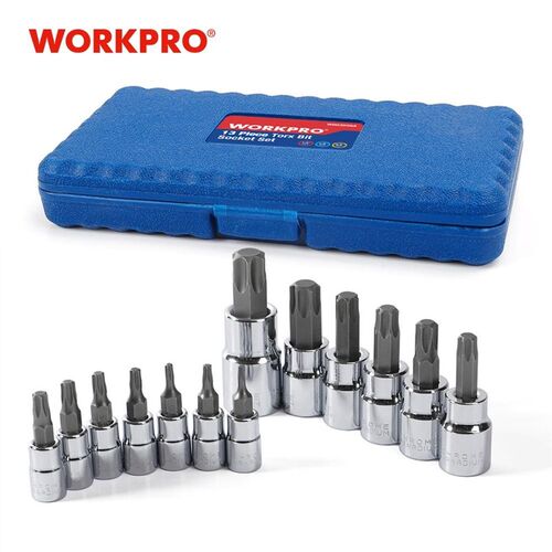 13PC Torx Bits Socket Set 1/4