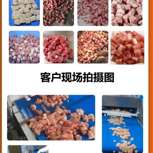 鸡肉块鱿鱼肉切块机 切鸡块猪肉块设备-切丁机