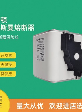 全新快速熔断器保险170M6581 170M6586 170M6587 170M6588