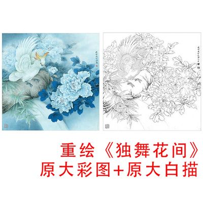 工笔牡丹花d鸟斗方白描底稿李晓明独舞花间描线临物实摹打印稿KD2