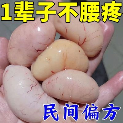 网红【101%治腰疼】腰椎盘突出压迫神经脊椎疼痛腰肌劳损护腰专用