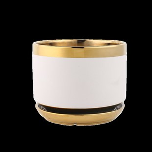 精致小花瓶金枝玉叶新款高端红色朱顶红专用陶瓷种花盆大号家用